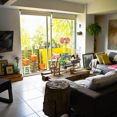 Pequena Habitacion Frida - Design Cdmx - Areas Comunes Compartidas Mexikóváros Kültér fotó