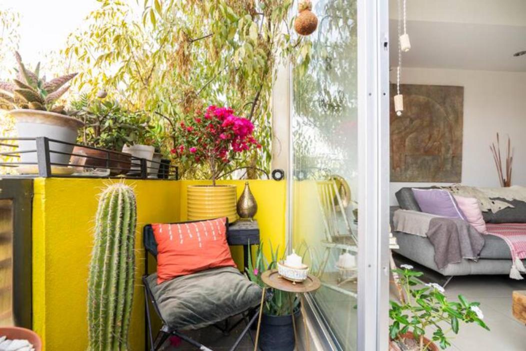 Pequena Habitacion Frida - Design Cdmx - Areas Comunes Compartidas Mexikóváros Kültér fotó